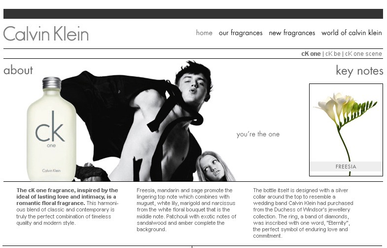 Work - Calvin Klein website