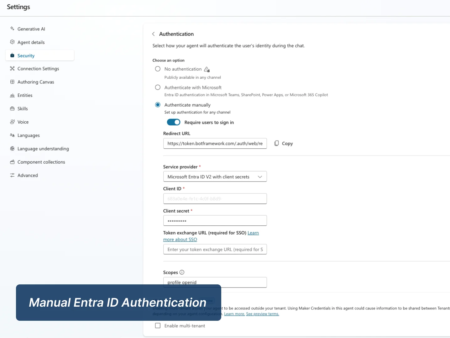 Manual Entra ID authentication
