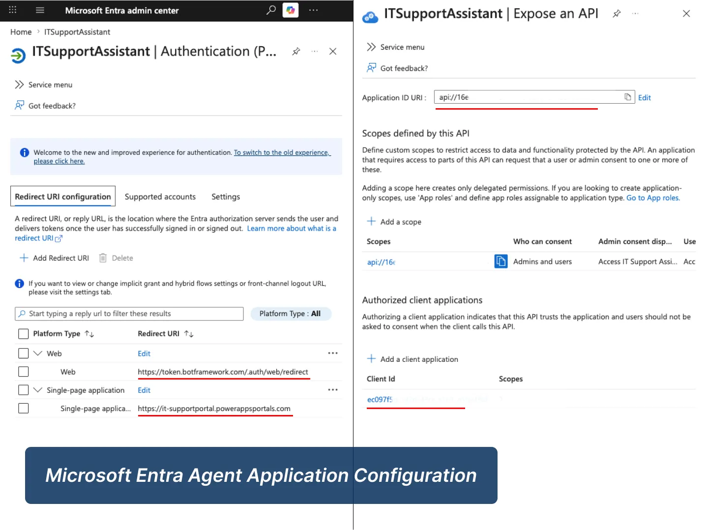 Microsoft Entra agent application configuration